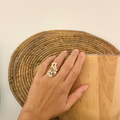 Anillo Noa