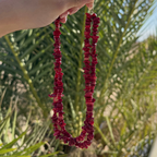 Collar Coral Duo